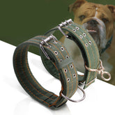 Kakadu Green Collar